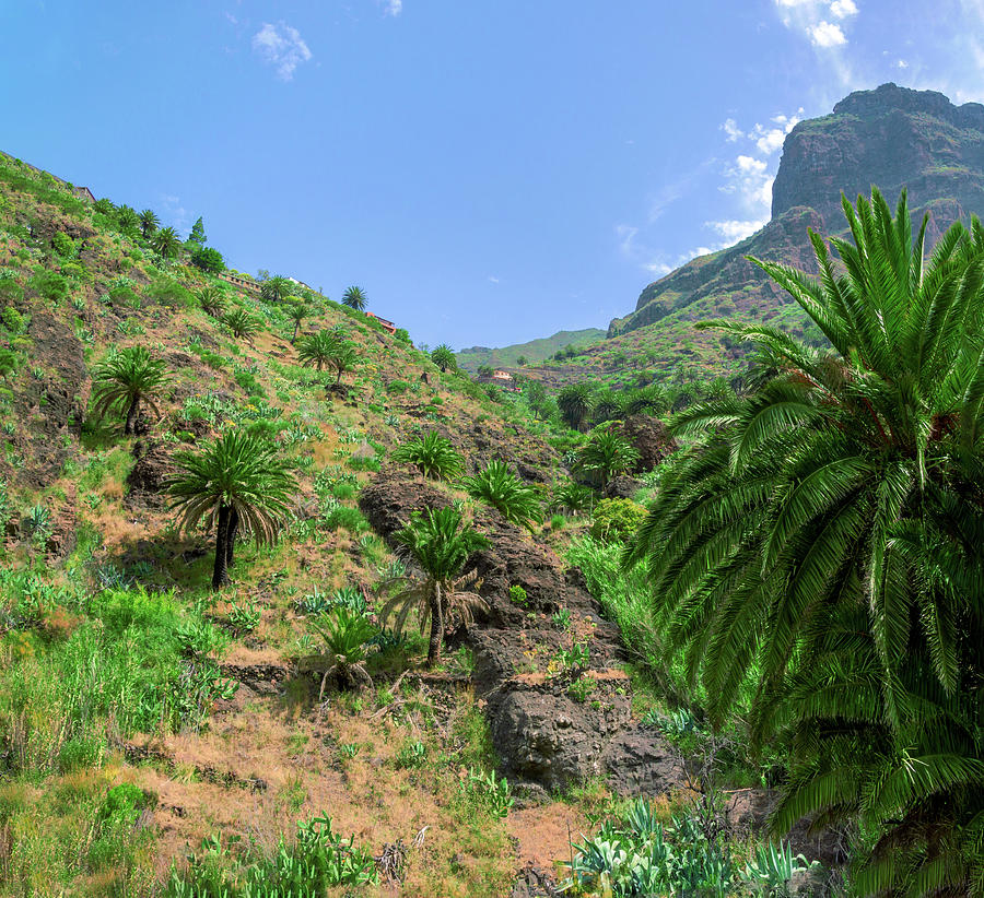 Mountain slopes of Masca by Sun Travels Mountain slopes of Masca by Sun Travels