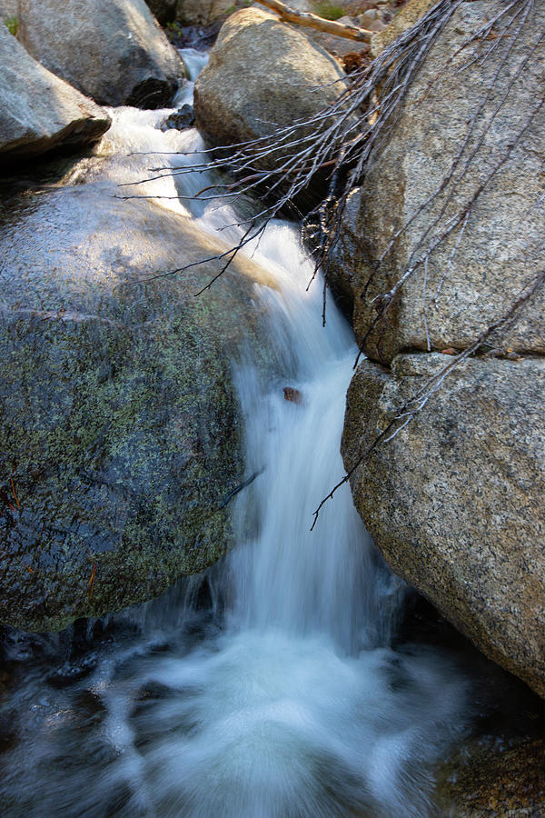 Mountain Stream Photograph by Fred DeSousa