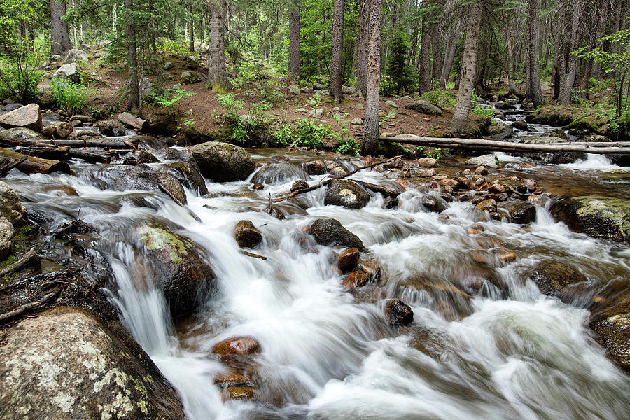Mountain Stream In Colorado Photograph by James Zipp