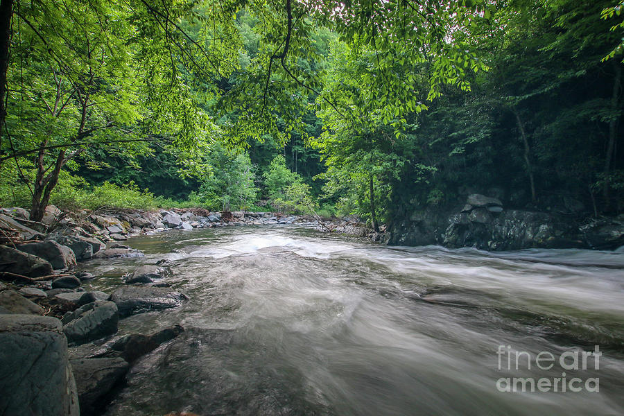 Nature Photograph - Mountain Stream in Summer #1 by Tom Claud