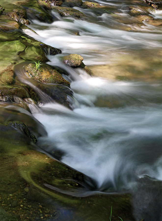 Mountain Stream Photograph by Toolx