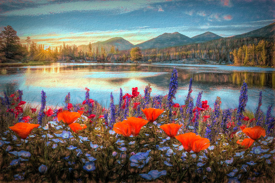 Mountain Summer Blooms Oil Painting Photograph by Debra and Dave Vanderlaan
