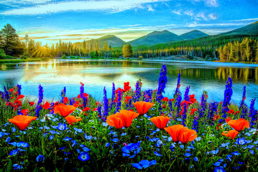 Mountain Summer Blooms Painting Photograph by Debra and Dave Vanderlaan