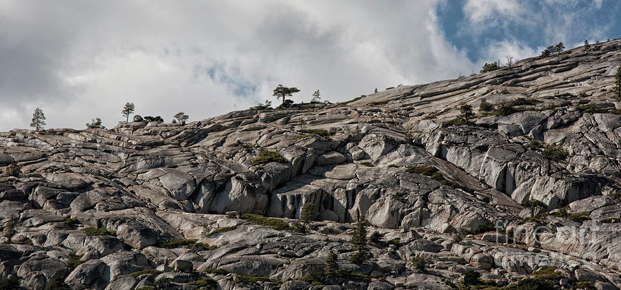Mountain Terrain Yosemite National Park USA Photograph by Chuck Kuhn