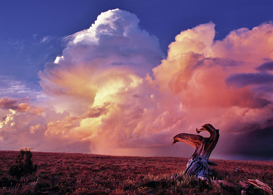 Sunset Photograph - Mountain Thunder Shower by Leland D Howard