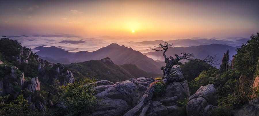 Mountain Top Photograph by Tiger Seo