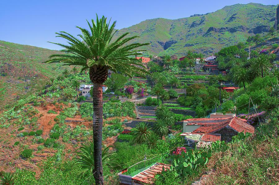 Mountain village Masca by Sun Travels Mountain village Masca by Sun Travels