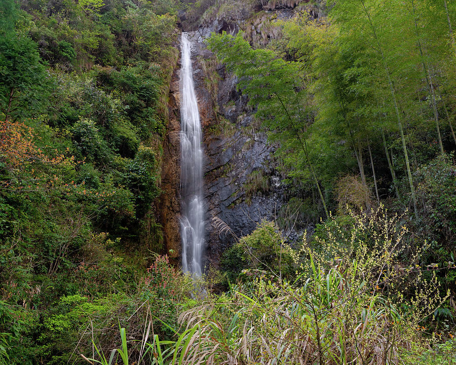 Mountain Waterfall V Photograph by William Dickman