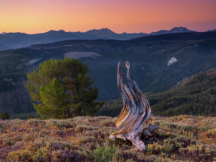 Mountain Wood Photograph by Leland D Howard