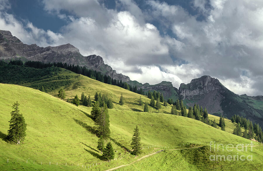 Mountains And Meadow Photograph by Michelle Meenawong