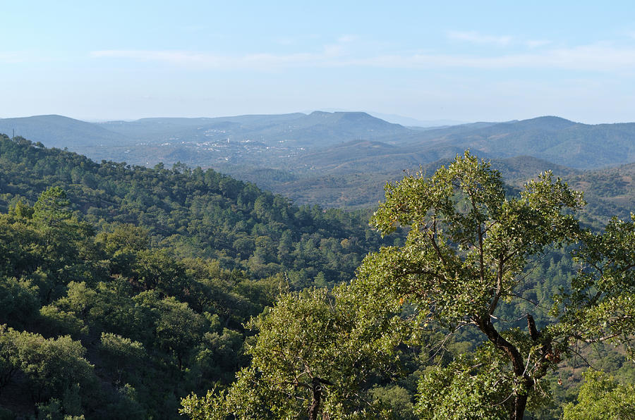 Mountains of Loule. Serra do Caldeirao by Angelo DeVal Mountains of Loule. Serra do Caldeirao by Angelo DeVal