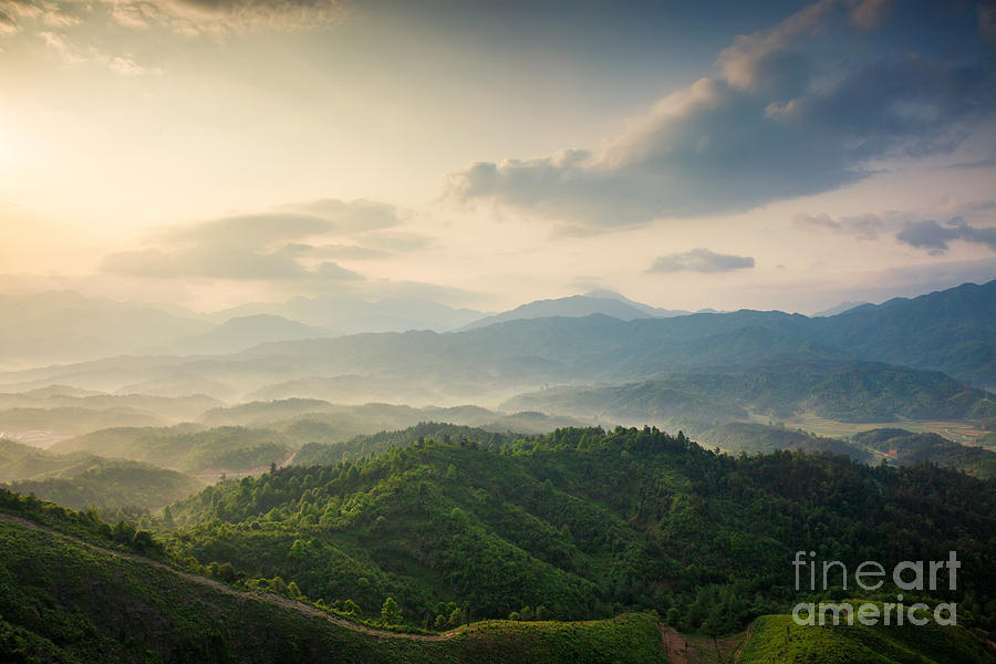 Forest Photograph - Mountains Under Mist In The Morning In by Humannet Forest Photograph - Mountains Under Mist In The Morning In by Humannet