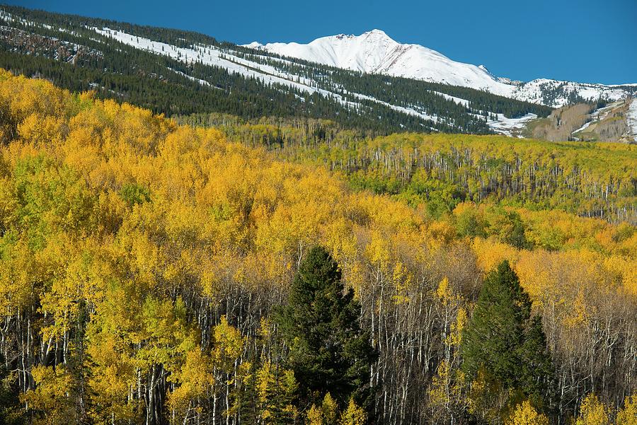 Mountains With Autumn Foliage Digital Art by Heeb Photos