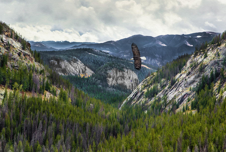 Mountain Photograph - Mountains With Eagle by Galloimages Online