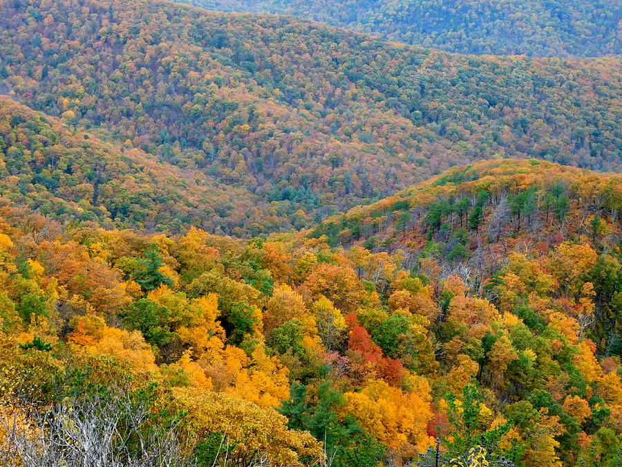 Mountainside View in Autumn Photograph by Arlane Crump | Fine Art America