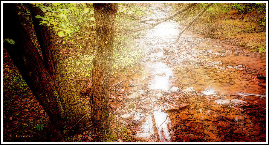 Mountan Stream, Fall Photograph by A Macarthur Gurmankin