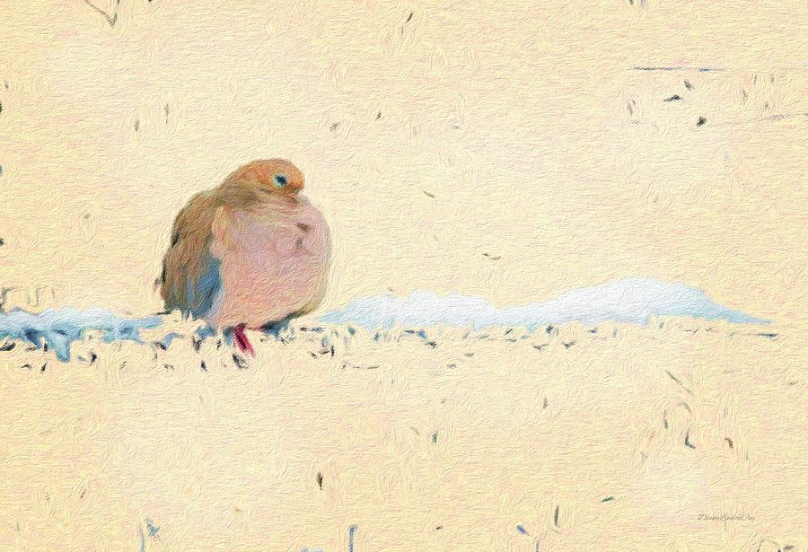 Mourning Dove in Snow Photograph by Diane Lindon Coy