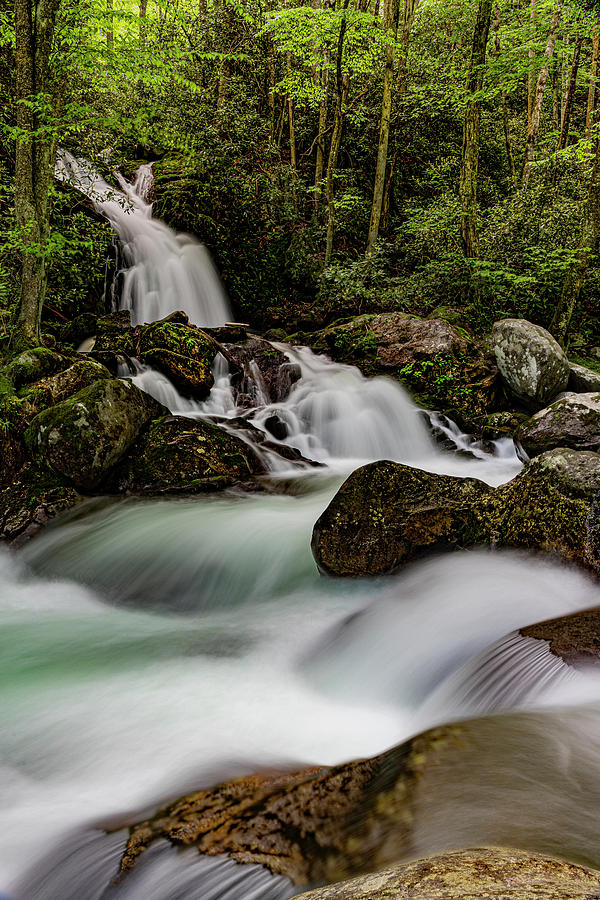 Mouse Creek Falls III Photograph by Larry Waldon