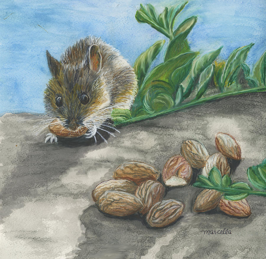 Mouse Eating Almonds Painting by Marcella Chapman