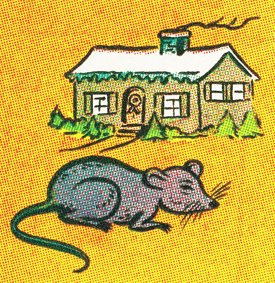 Animal Drawing - Mouse in the house by CSA Images