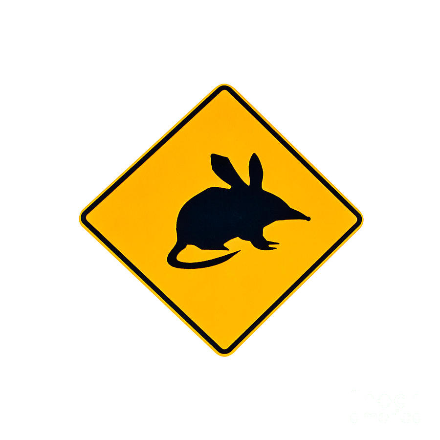 Mouse Warning Sign Photograph by Benny Marty