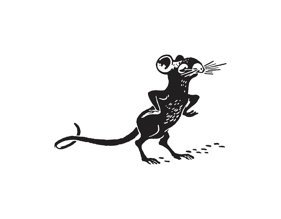 Black And White Drawing - Mouse with Hands on Hips by CSA Images