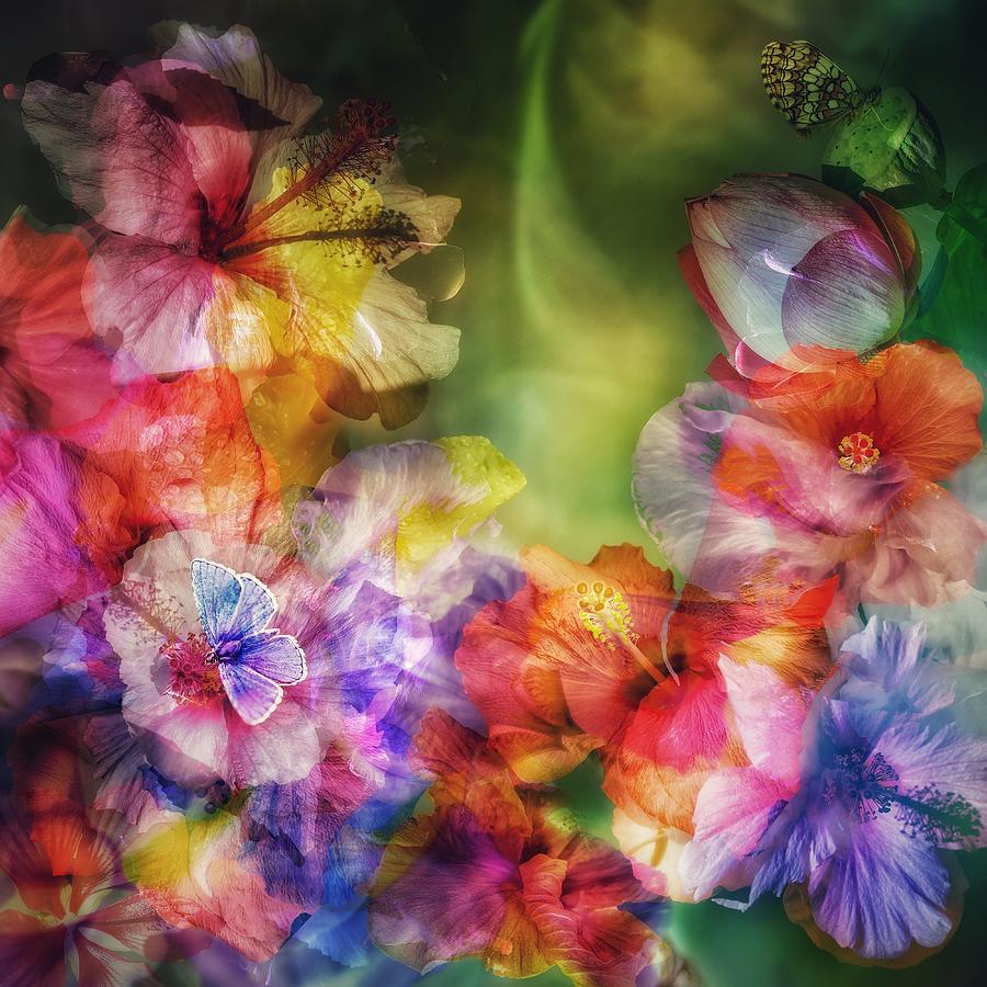 Flower Photograph - Moving Light by Ludmila Shumilova