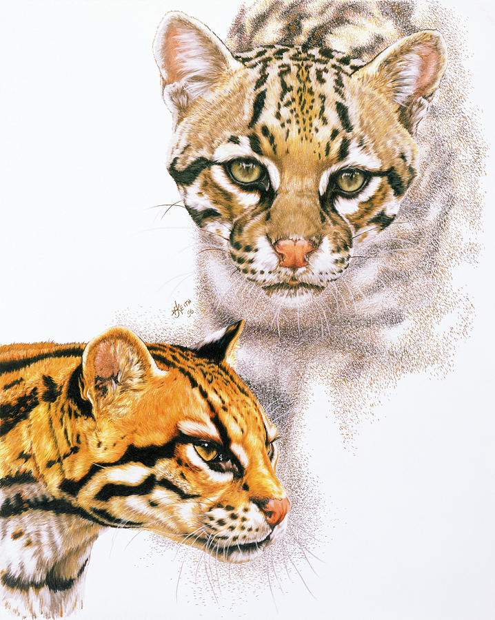 Ocelot Painting - Moving Shadows by Barbara Keith