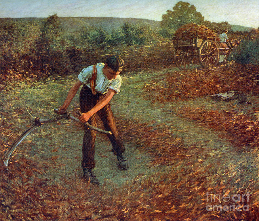Mowing Bracken, C1903, 1912.artist Drawing by Print Collector