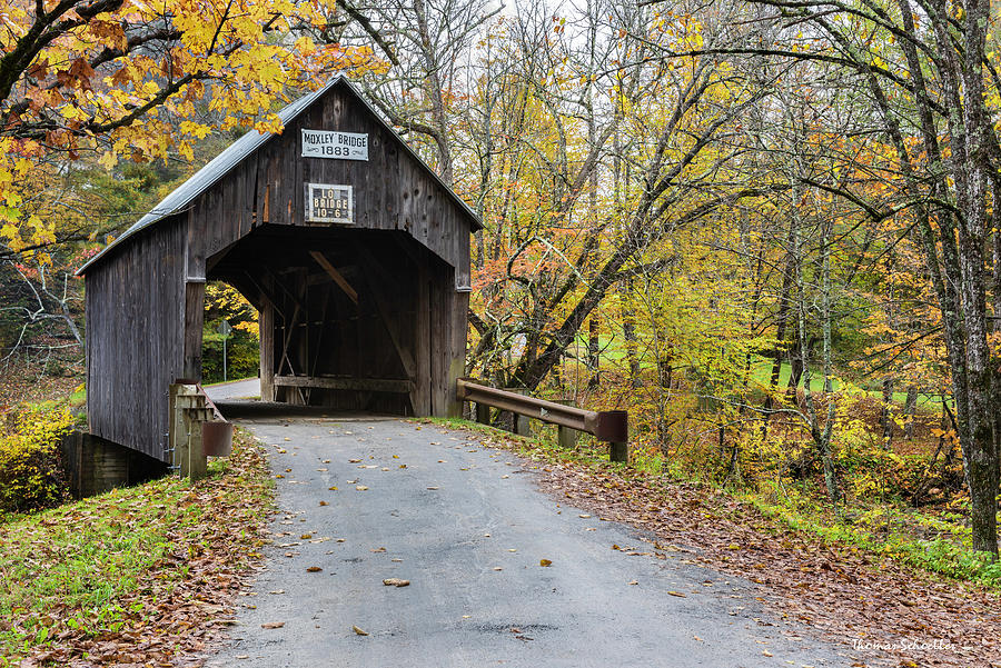 Moxley Covered bridge Photograph by TS Photo