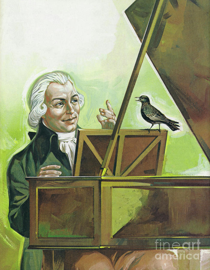 Mozart and the Starling Painting by Angus McBride