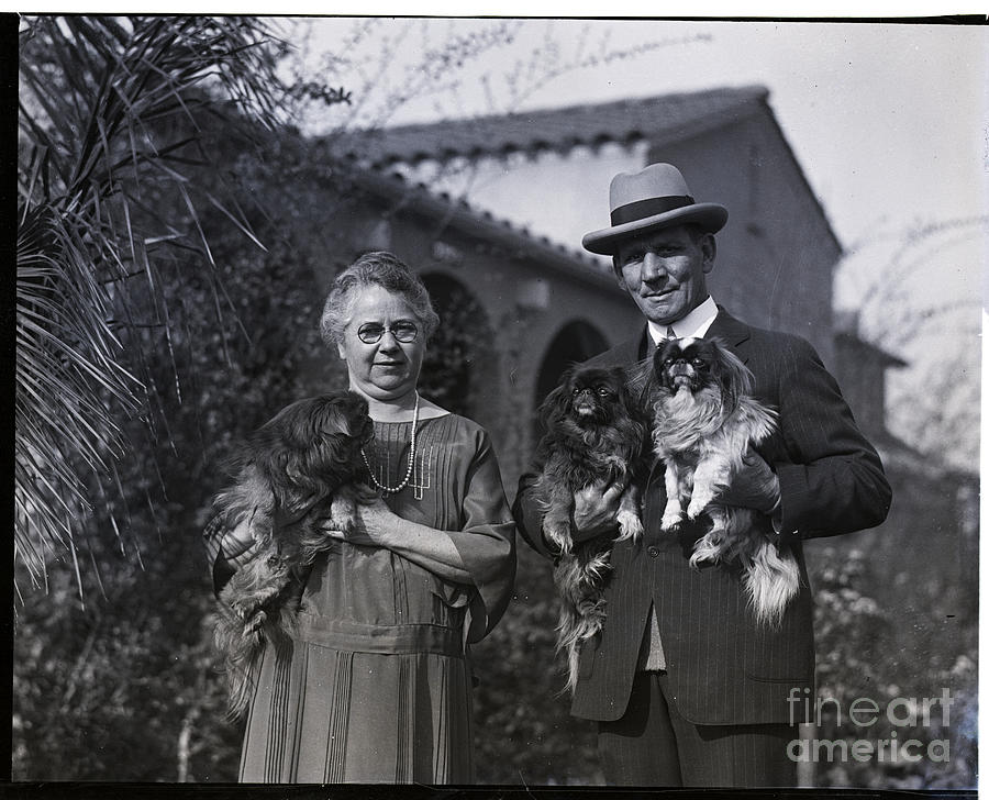 Mr. And Mrs. Tommy Ryan Hold Dogs Photograph by Bettmann