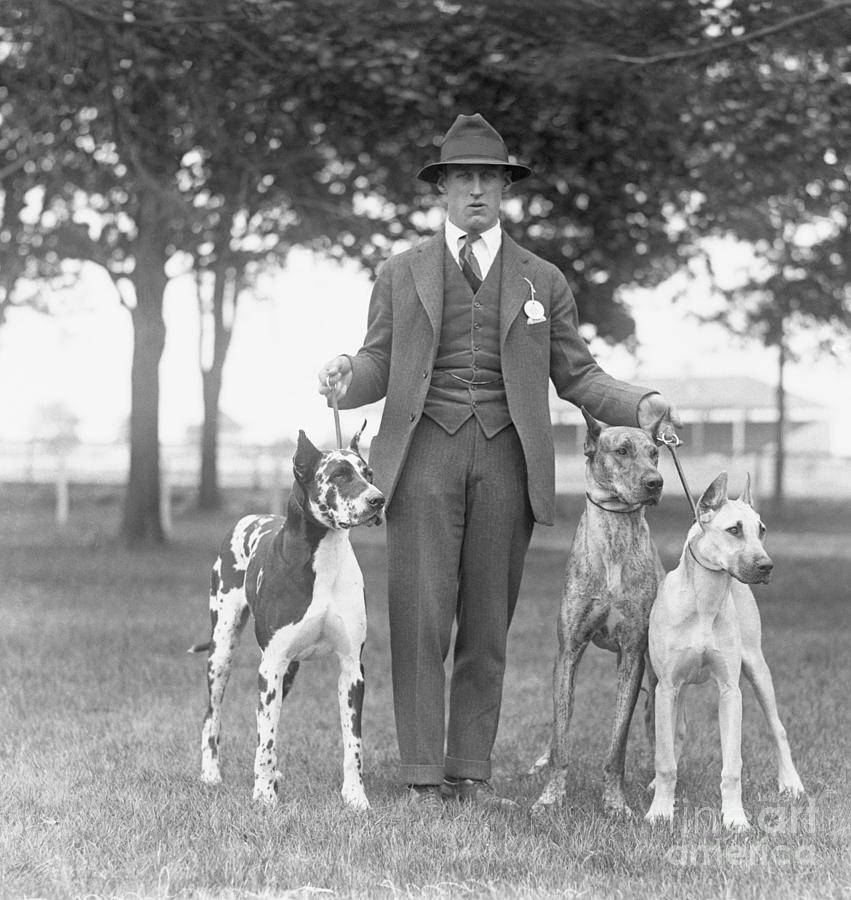 Mr. Harriman With Three Great Danes Photograph by Bettmann