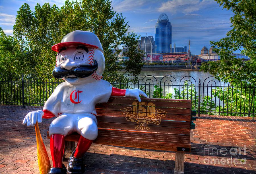 Redstockings Photograph - Mr. Redstockings No.3 by Paul Lindner Redstockings Photograph - Mr. Redstockings No.3 by Paul Lindner