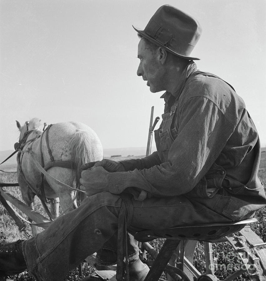 Mr Roberts, An Owyhee Project Tenant Farmer In Oregon, 1939 Photograph by Dorothea Lange