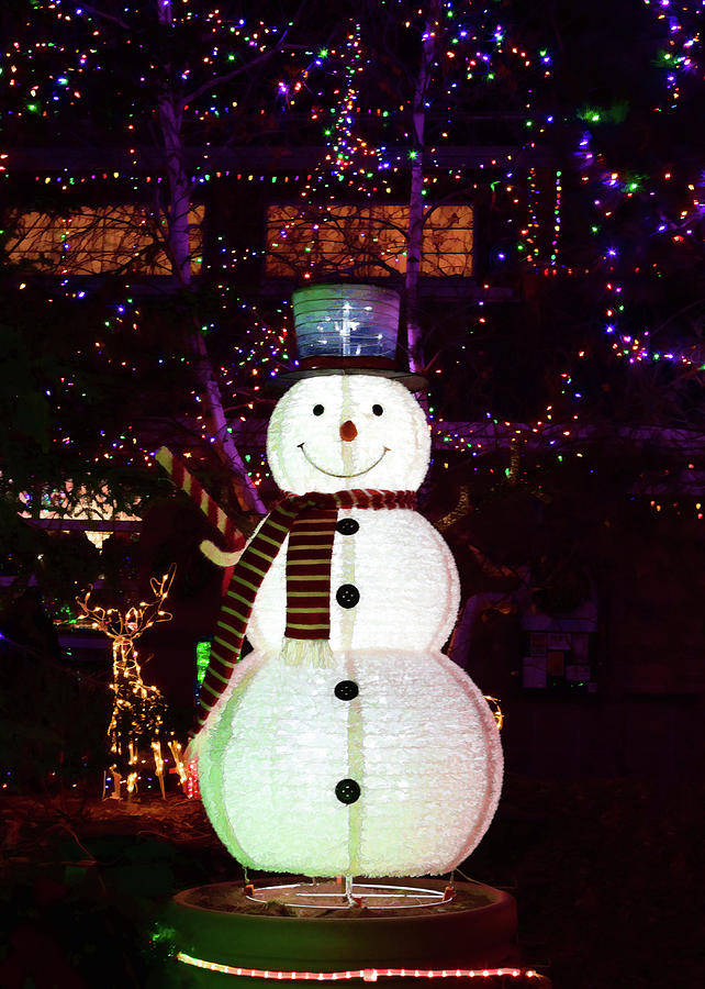 Mr. Snowman Photograph by Susan Rissi Tregoning