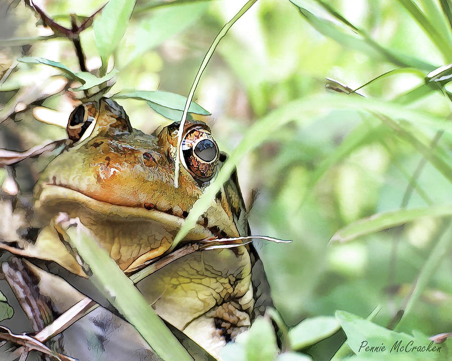 Mr. Toad by Pennie McCracken Mr. Toad by Pennie McCracken