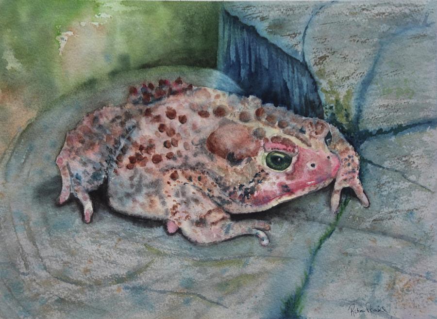 Mr. Toad Painting by Rita Prahl - Fine Art America