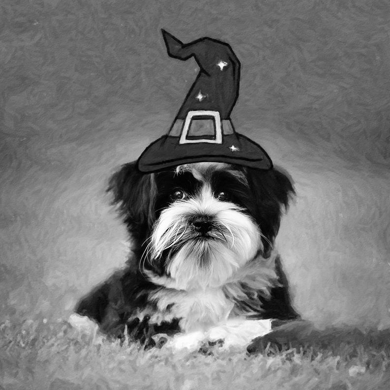 Mr. Wizard by Sue Collura Mr. Wizard by Sue Collura