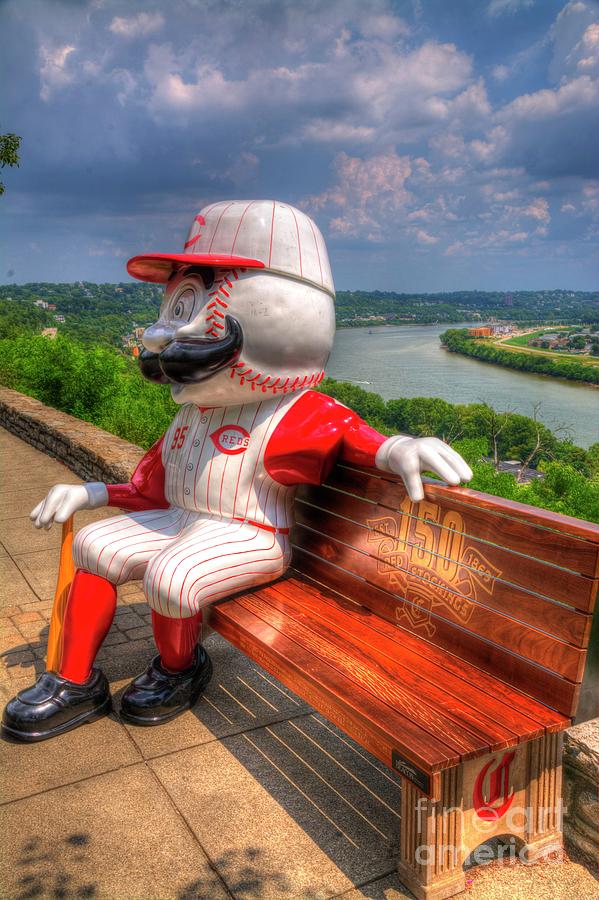 Cincinnati Reds Mascot Print Mr. Redlegs Poster Cincy Reds 