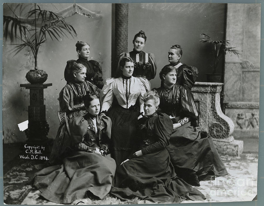 Mrs. Grover Cleveland And Cabinet Photograph by Bettmann
