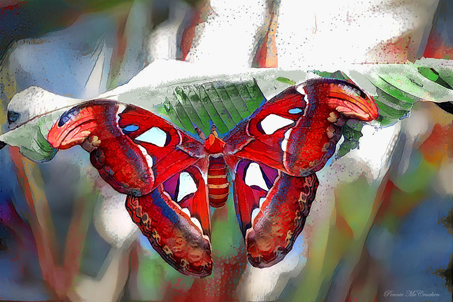 Ms. Butterfly Digital Art by Pennie McCracken