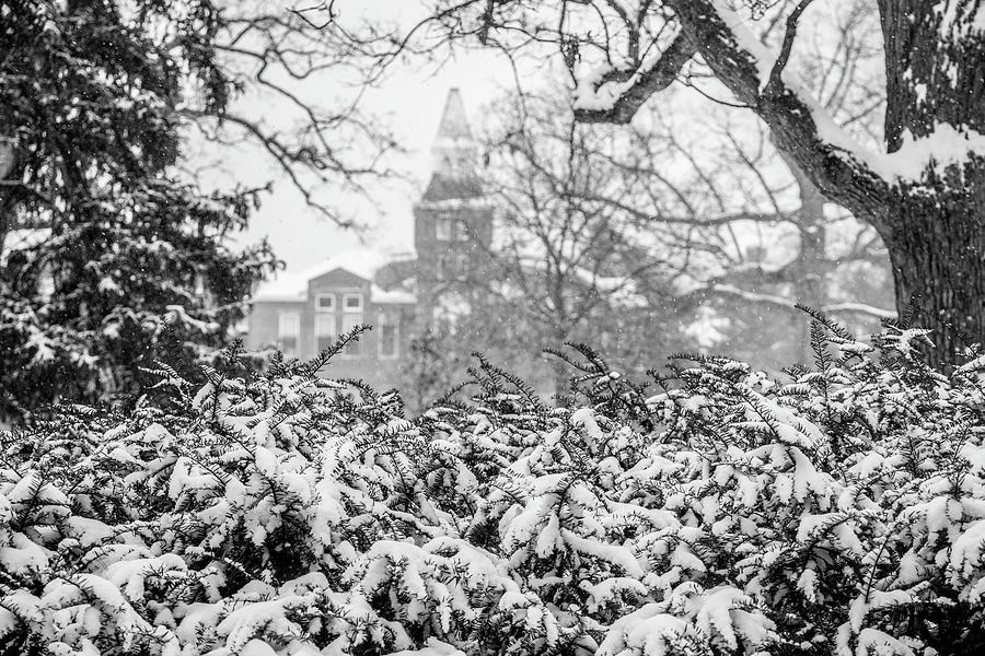 MSU Winter with Snow  Photograph by John McGraw