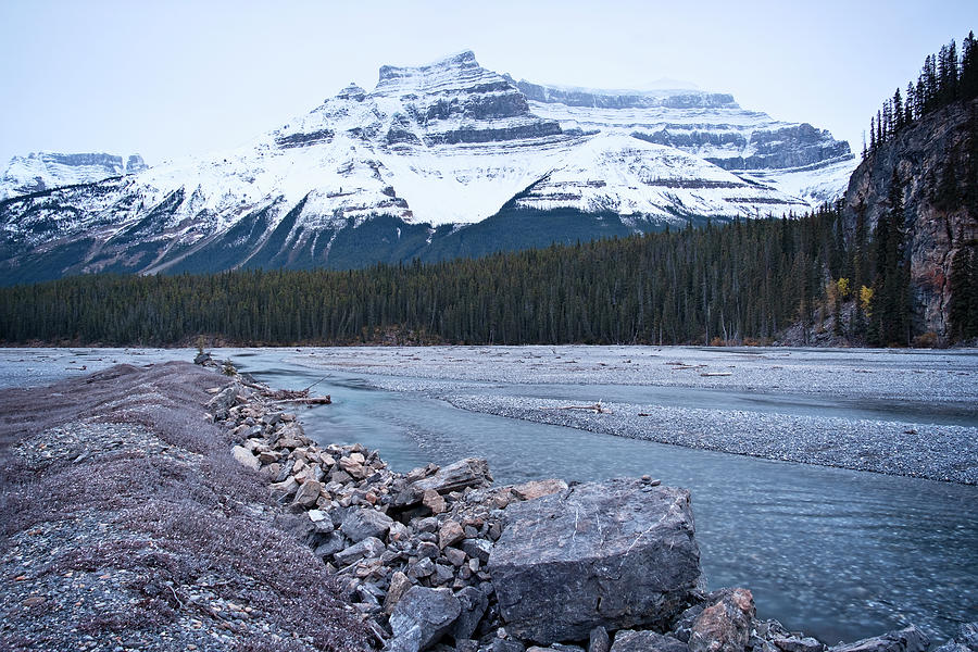 Mt Amery and North Saskatchewan River Photograph by Catherine Reading