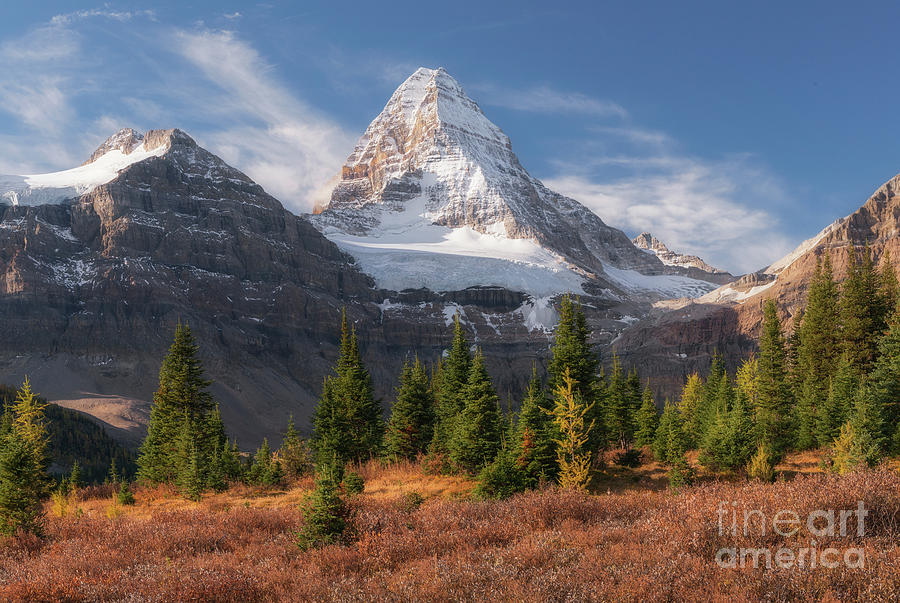 Mt Assiniboine In Fall, Canada Photograph by Terenceleezy