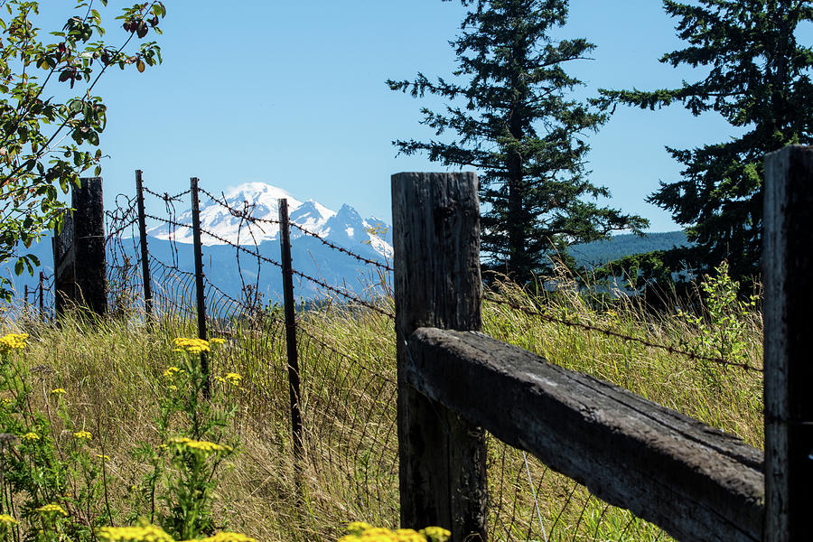 Mt Baker with Fence Photograph by Tom Cochran