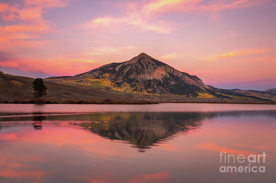 Mt Crested Butte Reflection Photograph by Ronda Kimbrow