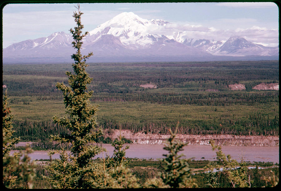 Landscape Photograph - Mt Drum by American Eyes