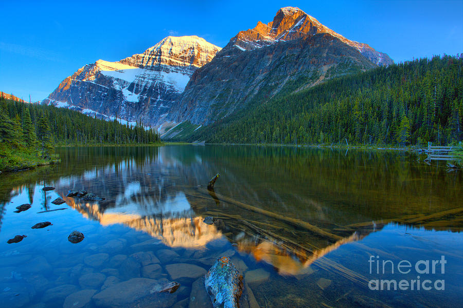 Mt. Edith Cavell Evening Reflections Photograph by Adam Jewell