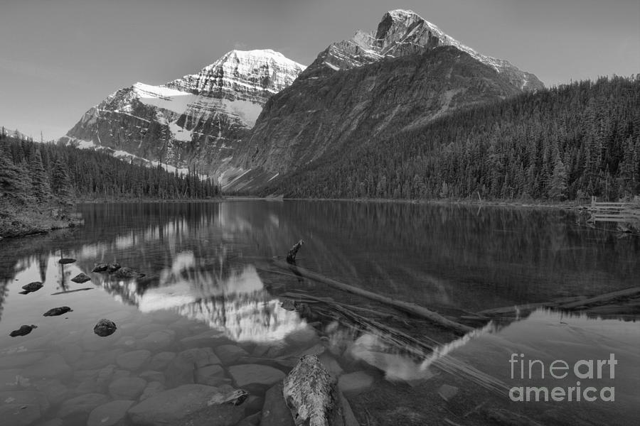 Mt. Edith Cavell Evening Reflections Black And White Photograph by Adam Jewell